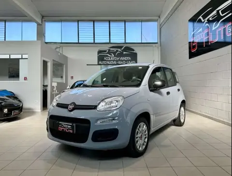 Annonce FIAT PANDA Essence 2021 d'occasion 