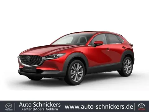 Annonce MAZDA CX-30 Essence 2023 d'occasion 