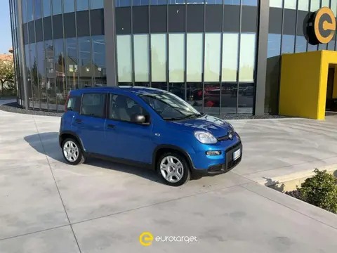 Used FIAT PANDA Hybrid 2024 Ad 