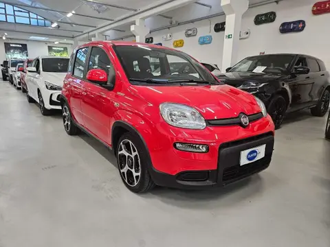 Used FIAT PANDA Hybrid 2022 Ad 