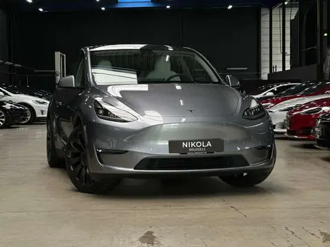 Used TESLA MODEL Y Electric 2023 Ad 