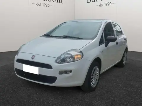 Used FIAT PUNTO LPG 2018 Ad 