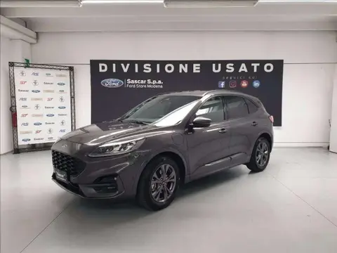 Annonce FORD KUGA Hybride 2021 d'occasion 