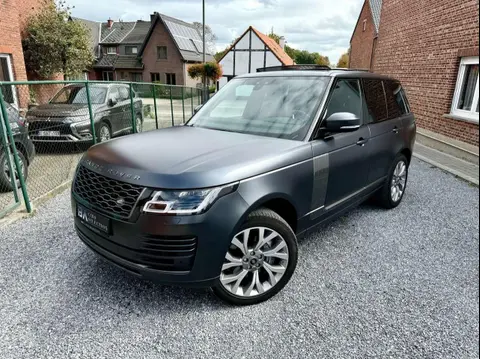 Used LAND ROVER RANGE ROVER Diesel 2020 Ad 