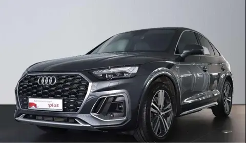 Annonce AUDI Q5 Hybride 2021 d'occasion 