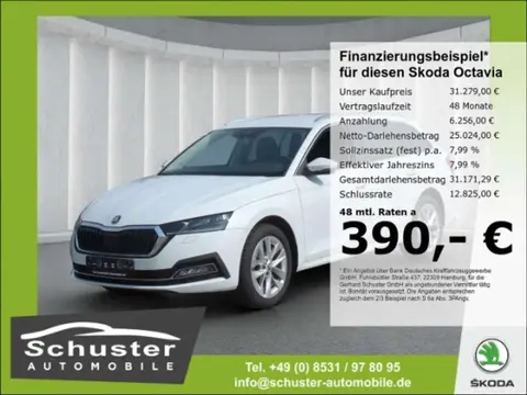 Annonce SKODA OCTAVIA Diesel 2023 d'occasion 