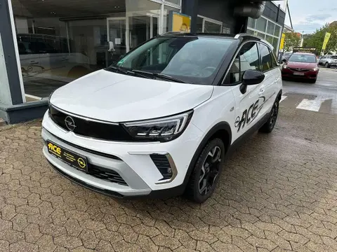 Annonce OPEL CROSSLAND Essence 2024 d'occasion 