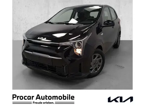 Used KIA PICANTO Petrol 2024 Ad 