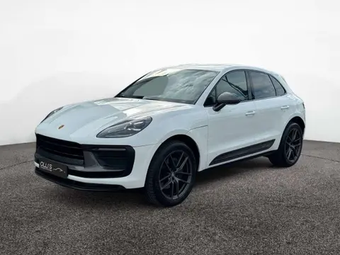 Used PORSCHE MACAN Petrol 2023 Ad 