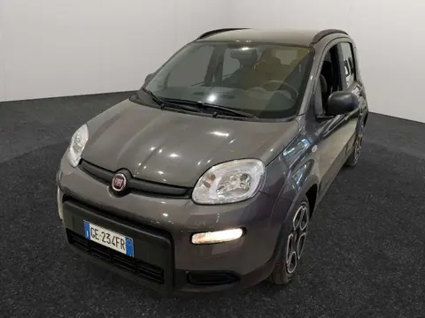 Used FIAT PANDA Hybrid 2021 Ad 