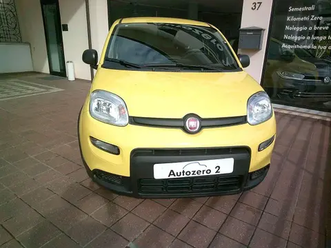 Used FIAT PANDA Hybrid 2024 Ad 