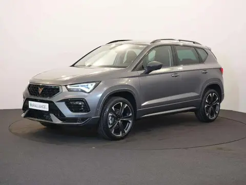 Used CUPRA ATECA Petrol 2024 Ad 