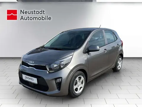 Used KIA PICANTO Petrol 2024 Ad 