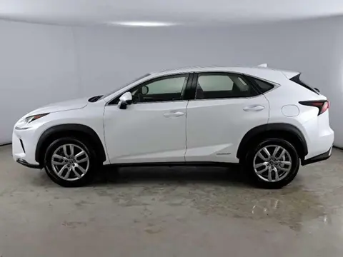 Used LEXUS NX Hybrid 2019 Ad 