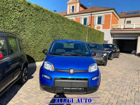 Annonce FIAT PANDA Hybride 2024 d'occasion 