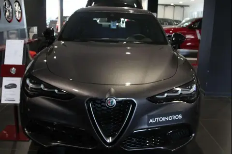 Annonce ALFA ROMEO STELVIO Diesel 2024 d'occasion 