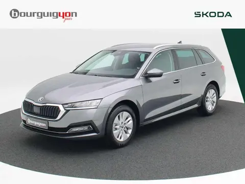 Used SKODA OCTAVIA Petrol 2024 Ad 