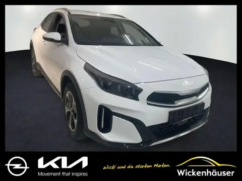 Used KIA XCEED Hybrid 2024 Ad 