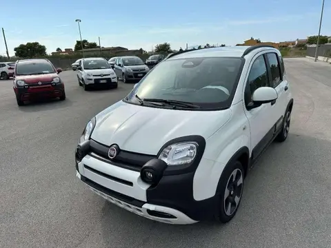 Annonce FIAT PANDA Hybride 2024 d'occasion 