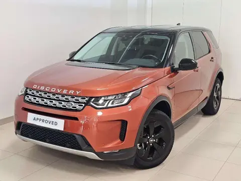 Used LAND ROVER DISCOVERY Hybrid 2020 Ad 