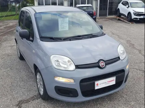 Used FIAT PANDA Hybrid 2021 Ad 