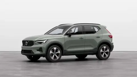 Used VOLVO XC40 Hybrid 2024 Ad 