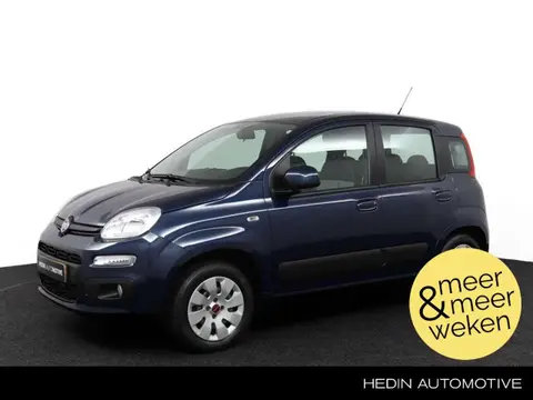 Annonce FIAT PANDA Essence 2018 d'occasion 