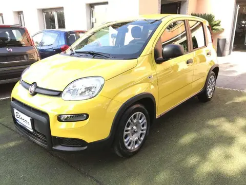 Used FIAT PANDA Hybrid 2024 Ad 