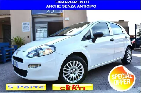 Annonce FIAT PUNTO Diesel 2018 d'occasion 