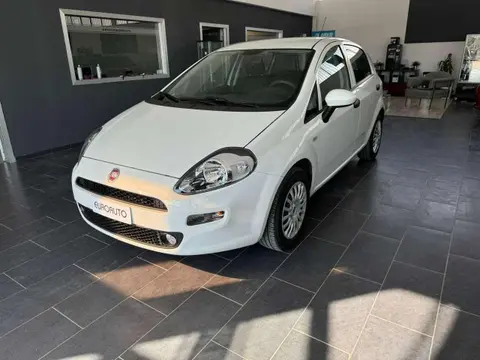 Used FIAT PUNTO Petrol 2016 Ad 