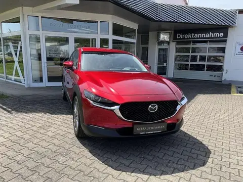 Annonce MAZDA CX-30 Hybride 2022 d'occasion 