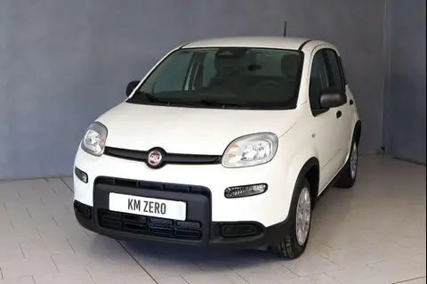 Annonce FIAT PANDA Hybride 2024 d'occasion 