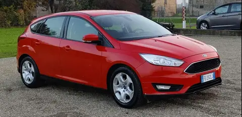 Used FORD FOCUS LPG 2016 Ad 