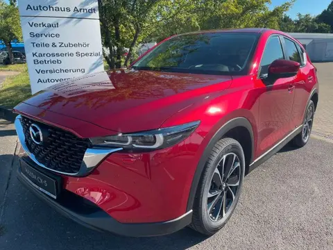 Annonce MAZDA CX-5 Essence 2024 d'occasion 