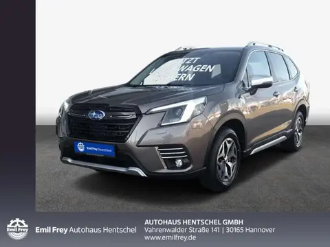 Used SUBARU FORESTER Hybrid 2023 Ad 