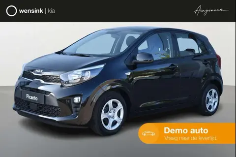 Used KIA PICANTO Petrol 2023 Ad 