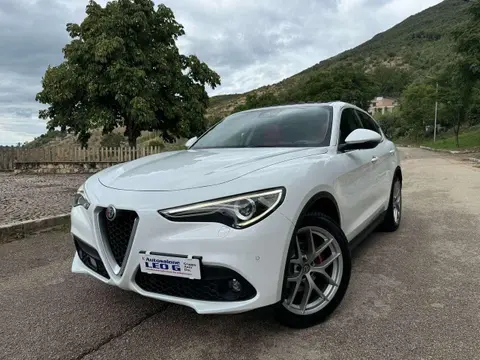 Used ALFA ROMEO STELVIO Diesel 2019 Ad 