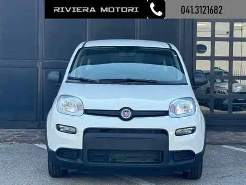 Annonce FIAT PANDA Essence 2024 d'occasion 