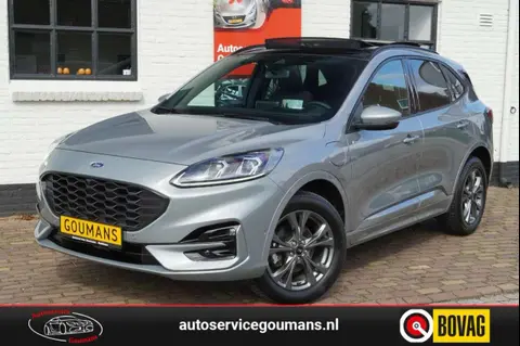 Annonce FORD KUGA Hybride 2022 d'occasion 