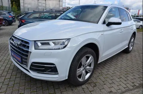 Used AUDI Q5 Diesel 2019 Ad 