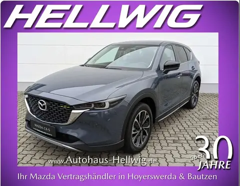 Used MAZDA CX-5 Petrol 2024 Ad 