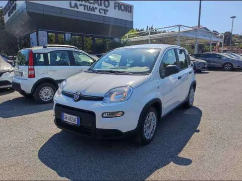 Annonce FIAT PANDA Hybride 2024 d'occasion 