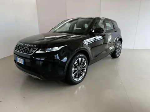 Used LAND ROVER RANGE ROVER EVOQUE Hybrid 2021 Ad 