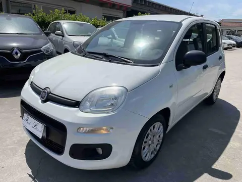 Used FIAT PANDA Petrol 2018 Ad 