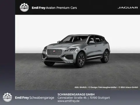 Used JAGUAR F-PACE Petrol 2021 Ad 