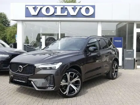 Used VOLVO XC60 Diesel 2023 Ad 