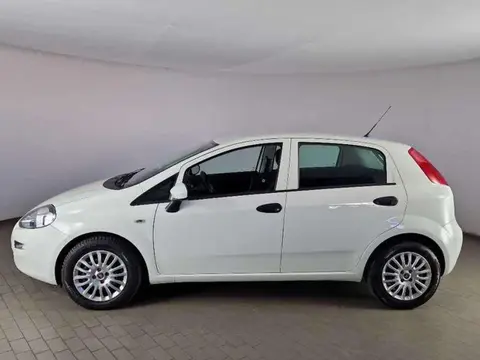 Annonce FIAT PUNTO Diesel 2018 d'occasion 