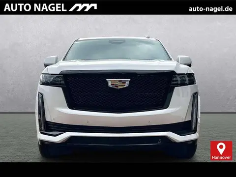 Used CADILLAC ESCALADE Petrol 2024 Ad 