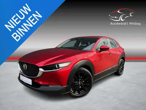 Annonce MAZDA CX-30 Essence 2021 d'occasion 