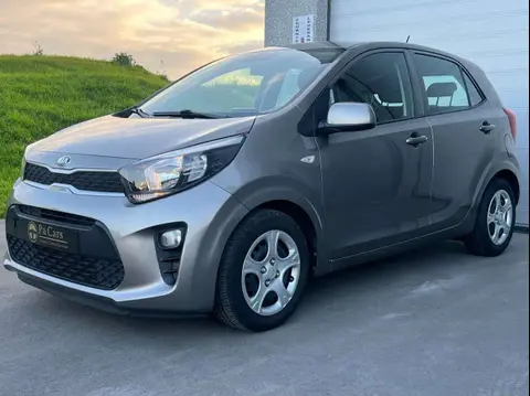 Annonce KIA PICANTO Essence 2019 d'occasion 